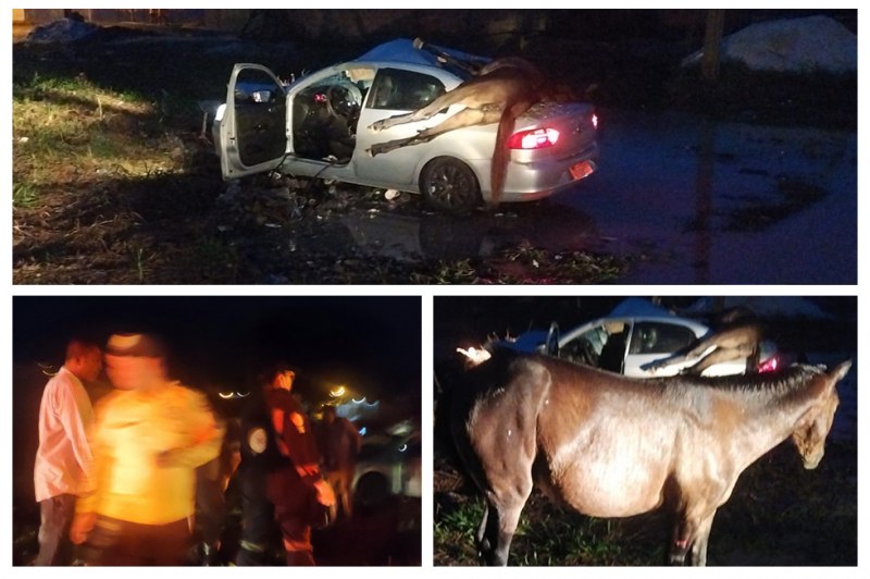 Foto: Gutemberg Stolze